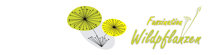Faszination Wildpflanzen
